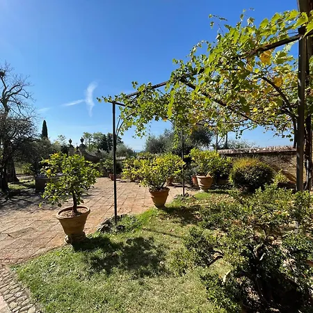 Vignano: Tinaia