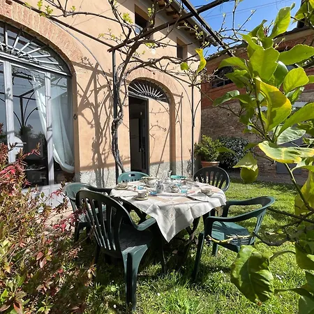 Vignano: Tinaia